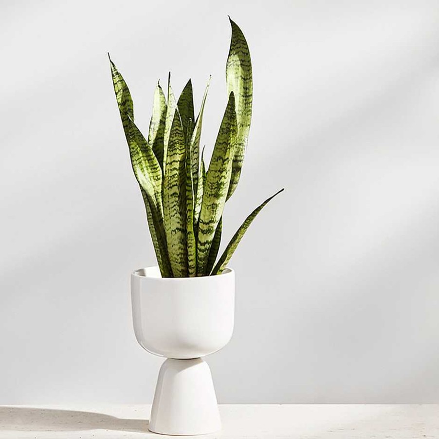 Iittala Vases | Nappula Plant Pot | 260X155Mm - White