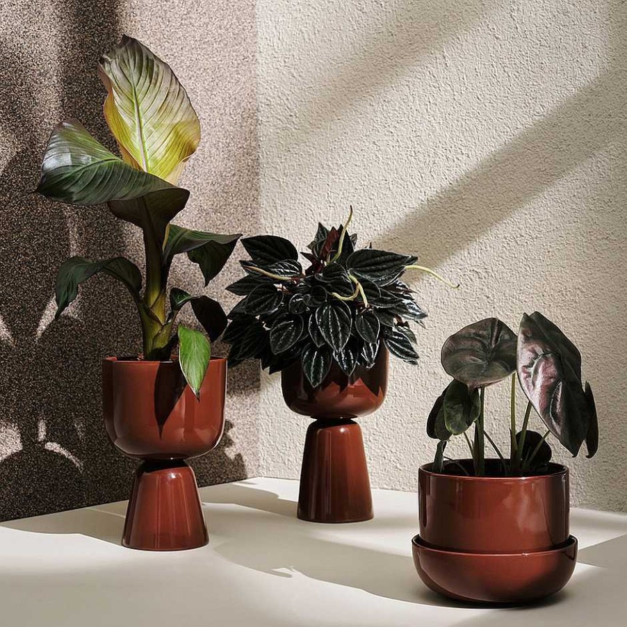 Iittala Vases | Nappula Plant Pot | 260X155Mm - Brown