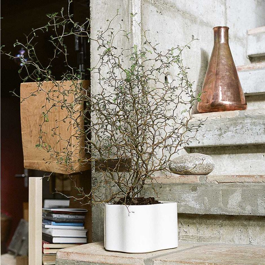 Artek Vases | Riihitie Plant Pot B | Polished White - Small