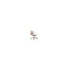 Vitra Office Chairs | Aluminium Chair Ea 117 | Nude / Ivory